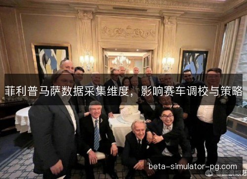 菲利普马萨数据采集维度，影响赛车调校与策略